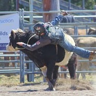 Jr Bull Ride