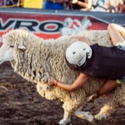 Mutton Bustin'